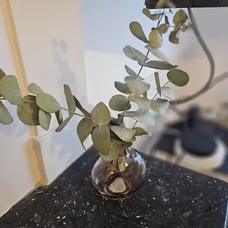 Lägenhet Le Lys De *