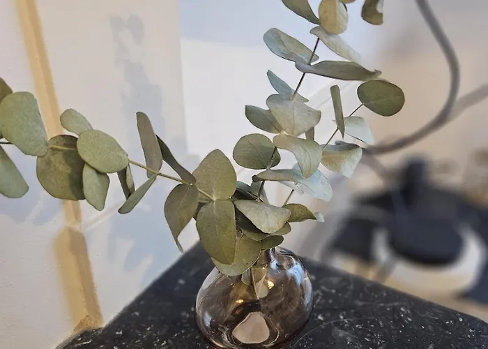 Appartamento Le Lys De *